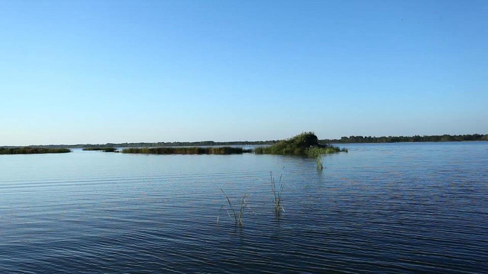 湿地3
